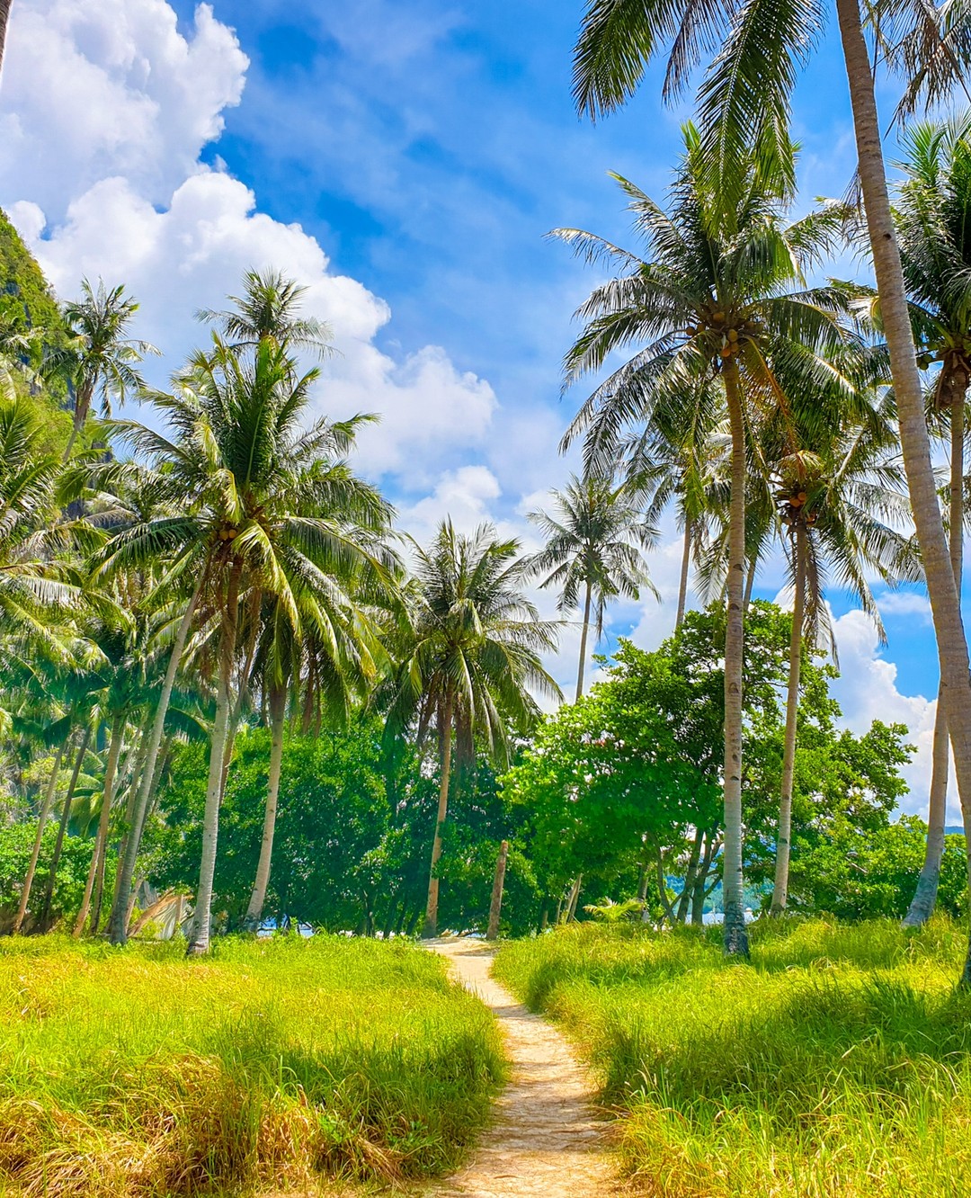 What path will 2020 take you on? A new year is full of new exciting adventures to go on, it's a new full year of things to look forward to. I can't wait to see what adventures 2020 brings me. 👀🙌 #travelwriter #travel #instatravel #travelgram #philippines #instago #passportready #travelblogger #wanderlust #ilovetravel #writetotravel #instatravelling #instavacation #travelblogger #instapassport #postcardsfromtheworld #traveldeeper  #travelstroke #travelling #palawan #traveltheworld #igtravel #getaway #travelblog #travelpics #elnido #wanderer #traveladdict #oceanvibes #islandvibes