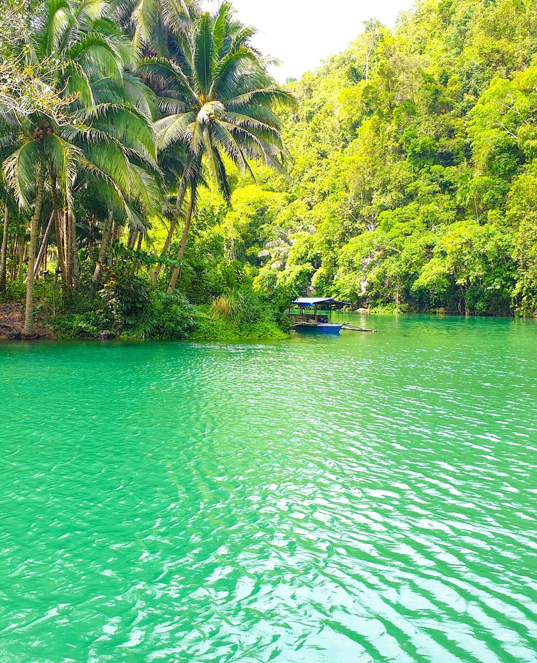 There’s nothing quite like the beauty of the Loboc river in the Philippines - with the option to do so many amazing activities such as firefly watching, and even paddleboard yoga!

After seeing so many beautiful places, it’s getting harder and harder to choose a favourite! Where’s the most beautiful place you have ever been to? 🏝🧡
.
.
.
.
.
.
#travelblogger #travelexperience #travelbloggers #travel #traveladventure #travel_ig #tbloggers #tblogger #backpackerstory #photographytravel #instatravel #lobocriver #bohol #philippines #travelgram #traveller #traveling #travelingram #travelinggram #travellers #travellife #globetrotter #traveltheworld #photography #instapassport #wanderlust #myinstatravel #traveldiaries #traveladdict #oceanvibes